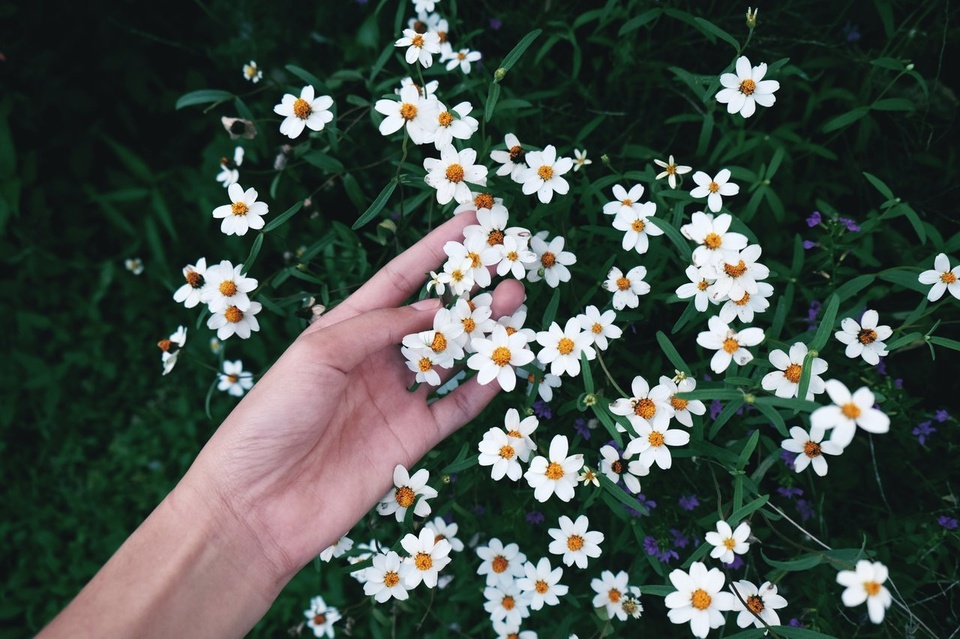Girl Picking Flowers - Teen Rehab
