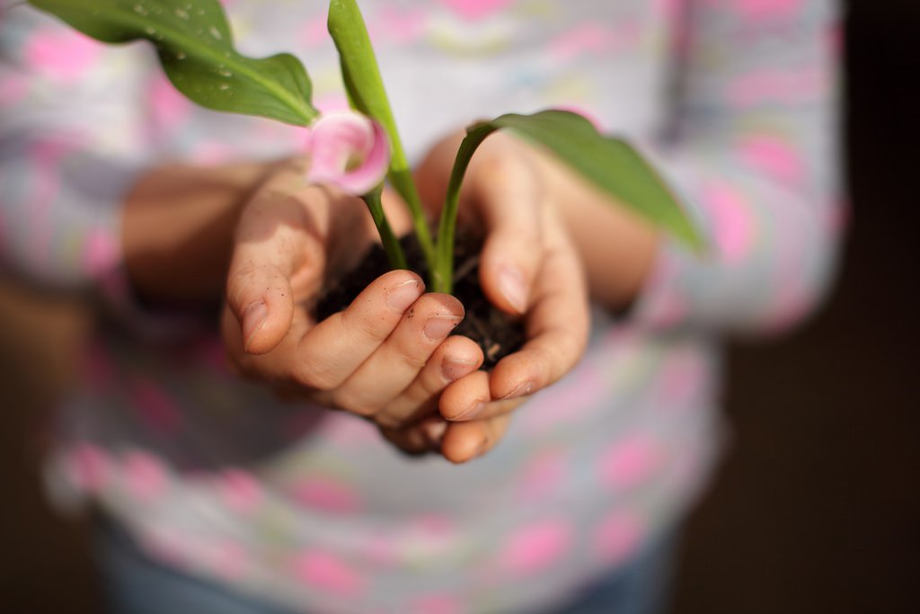 Girl Planting Plant - Teen Rehab
