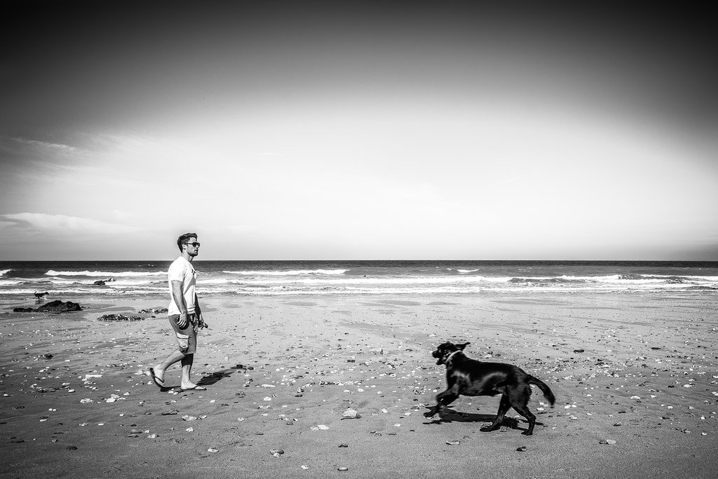 Guy Walking Dog Beach - Teen Rehab