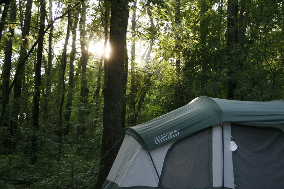 Tent in Woods - Teen Rehab