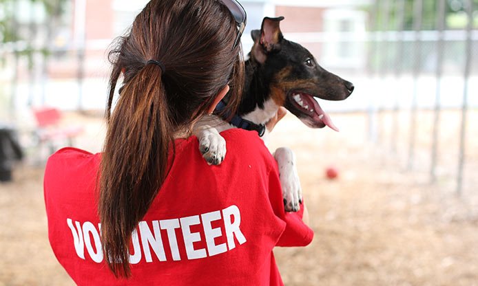 Volunteer With Dog - Teen Rehab