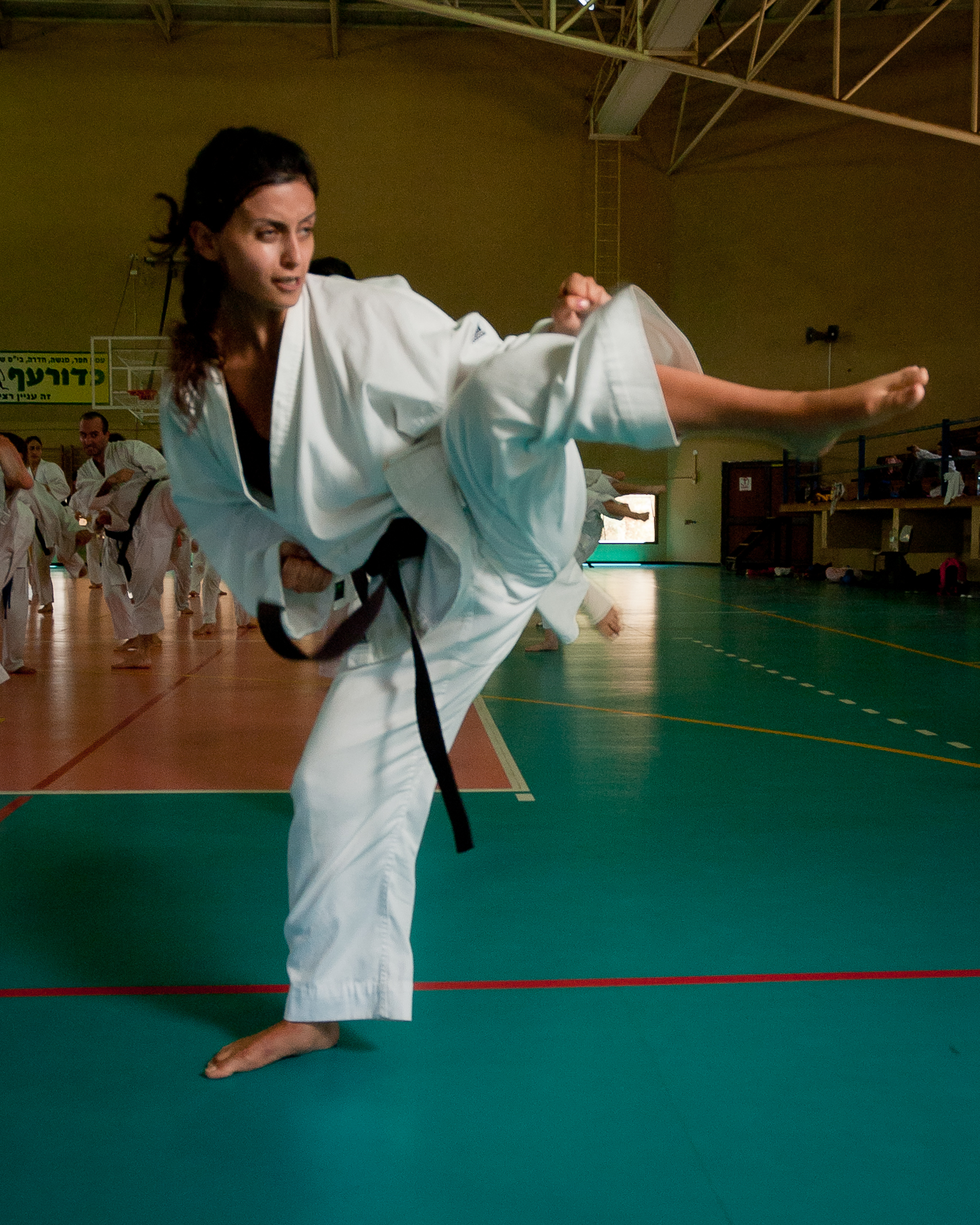 Teenage Girl Karate Kick - Teen Rehab