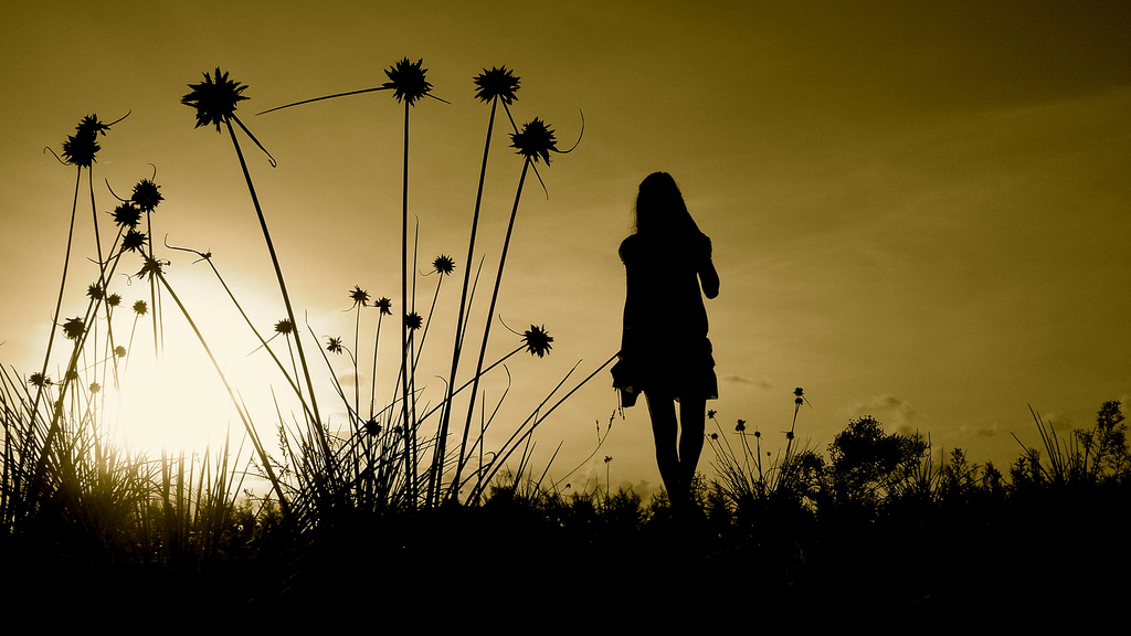 girl silhouette sunset field flowers grass outdoors