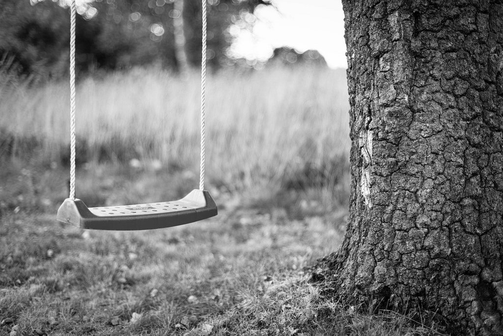 swings swing set play tree grass outdoors