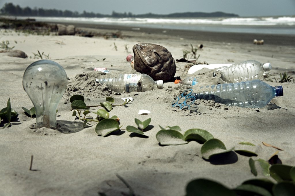 beach nature waste trash environment