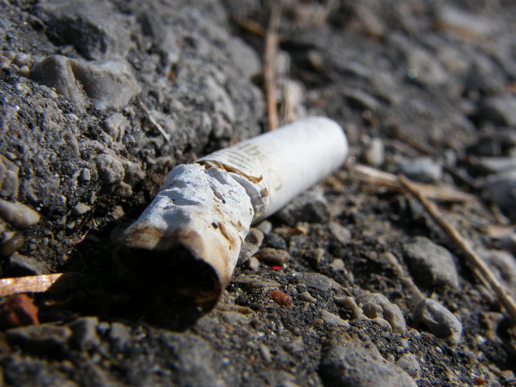 cigarette stick smoking asphalt