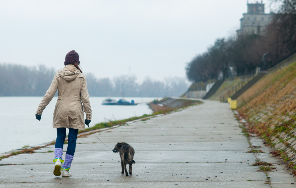 Activities to Deal with Anger - Girl Walking Dog - Teen Rehab